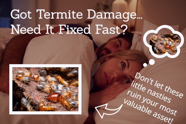 Termite Damage Repairs? Call Michael Ewald Builders 07 3185 2383